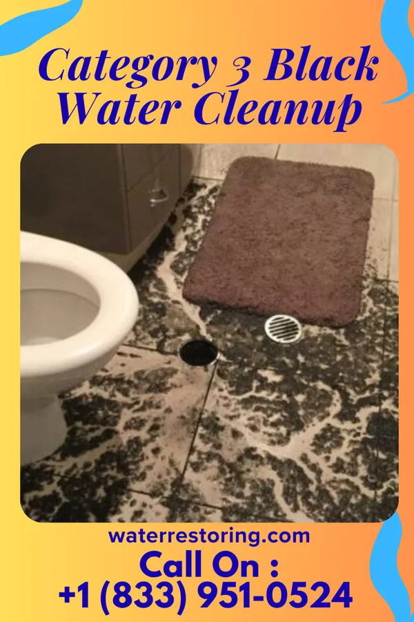 Category 3 Black Water Cleanup in Hatboro, PA