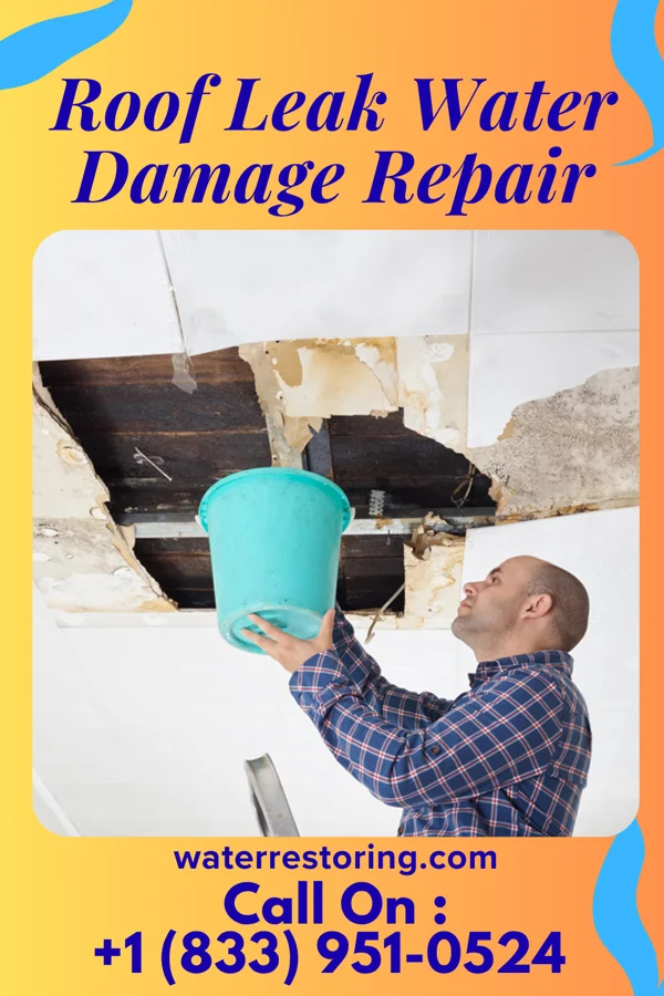 Roof Leak Water Damage Repair in Hatboro, PA