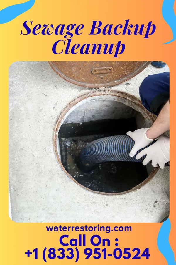 Sewage Backup Cleanup in Hatboro, PA